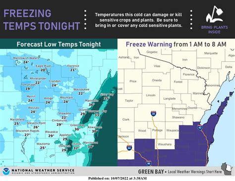 What Flowers to Cover in a Freeze Warning: A Multi-Layered Insight